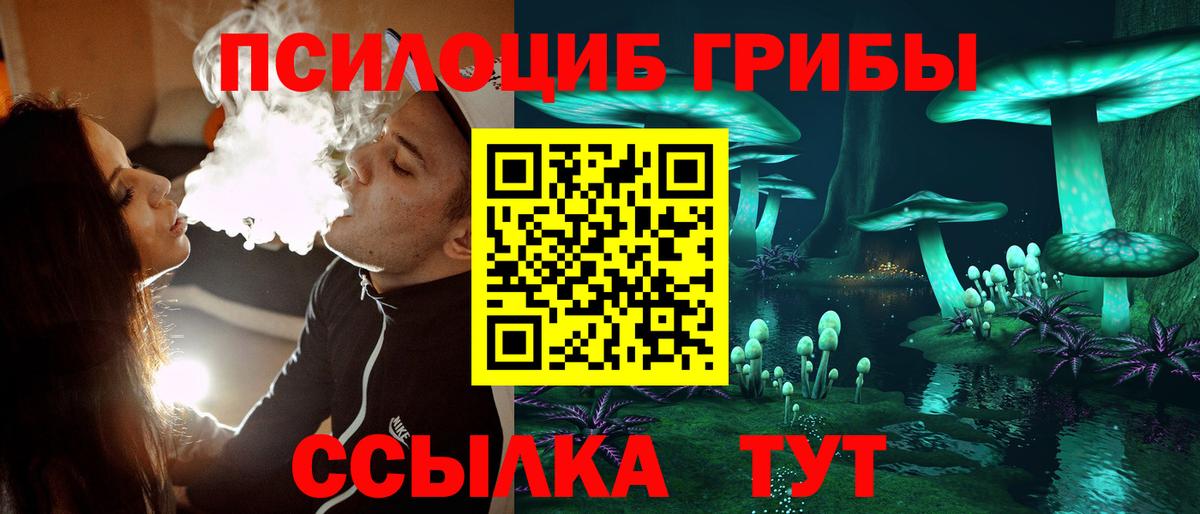 Псилоцибиновые грибы Cubensis  Галлюциногенные грибы прущие грибы  Великий Устюг  Вход с VPN 