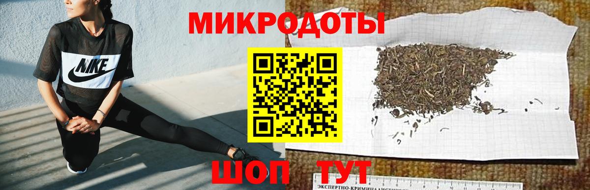 Галлюциногенные грибы Psilocybine cubensis Великий Устюг