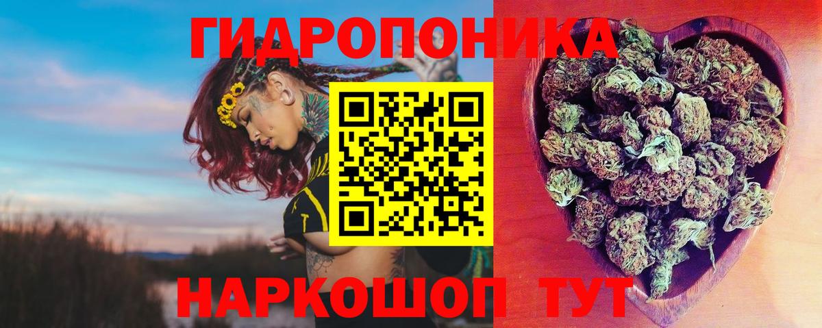 Канабис Bruce Banner Великий Устюг